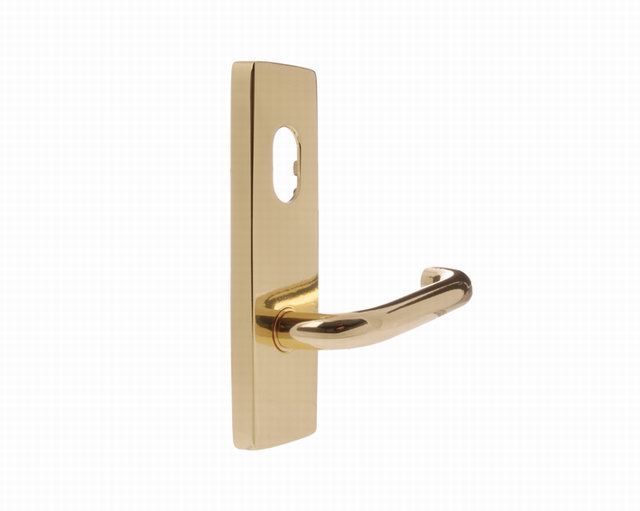 Lever Handle on Plate